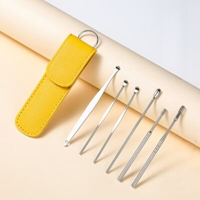 Stainless Steel Ear Pick Set Portable Ear Cleaner Set - 6 Pcs